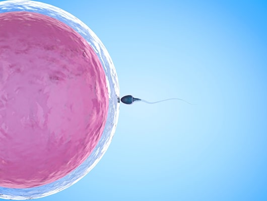 best infertility treatment in delhi