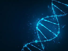 DNA Fragmentation Index