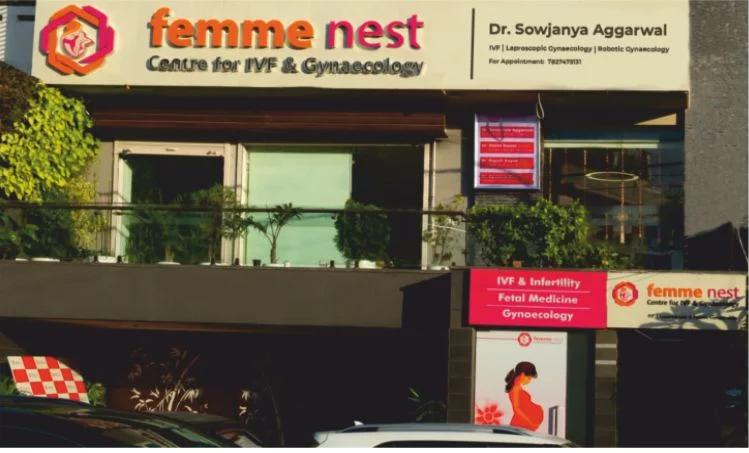 Femmenest Centre Infertility Doctor