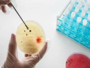 IVF and Infertility