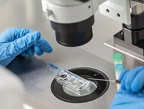 IVF and Infertility