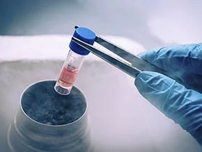 IVF and Infertility