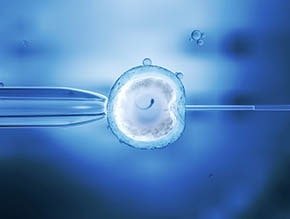 IVF and Infertility