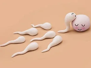 IVF and Infertility
