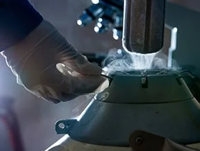 IVF and Infertility
