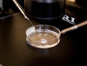 IVF and Infertility