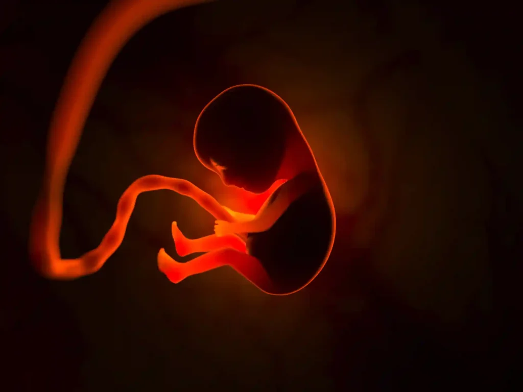 Pregnancy through IVF