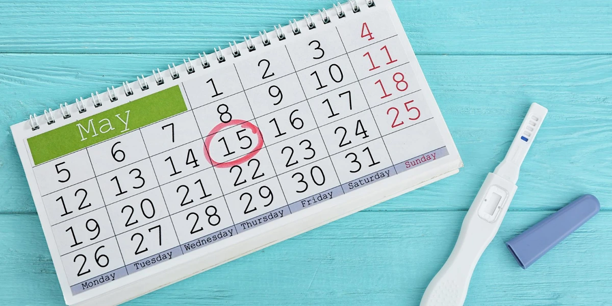 Pregnancy Age Limit Pregnancy Age Limit